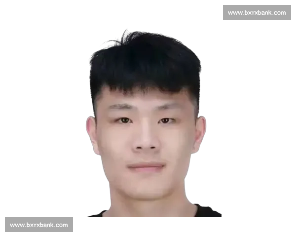 CBA平台全面解析：联赛数据、球队动态与球迷互动全景展现